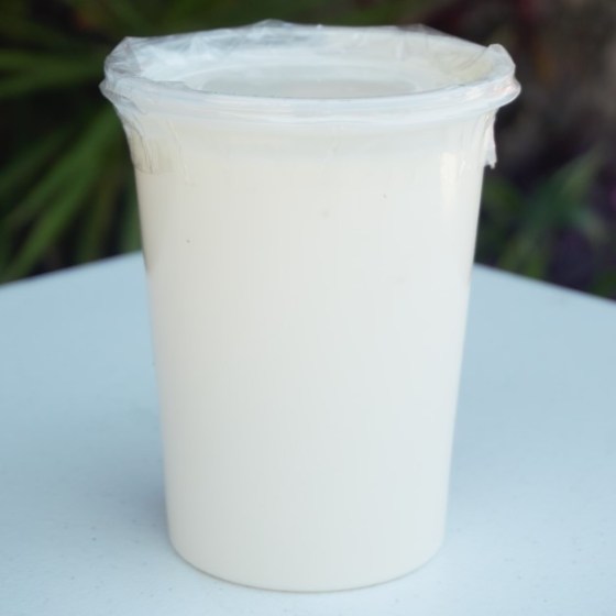 yogurt  de manzana